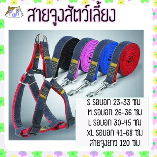 สายจูง ที่รัดอก สำหรับสัตว์เลี้ยง dog leashes [สายยีน]