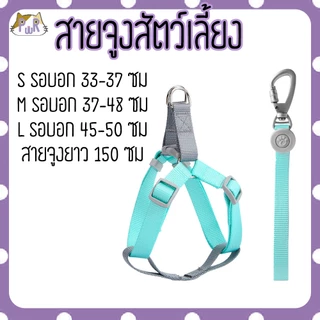 สายจูง ที่รัดอก สำหรับสัตว์เลี้ยง dog leashes [สายเทา]