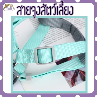 สายจูง ที่รัดอก สำหรับสัตว์เลี้ยง dog leashes [สายเทา]