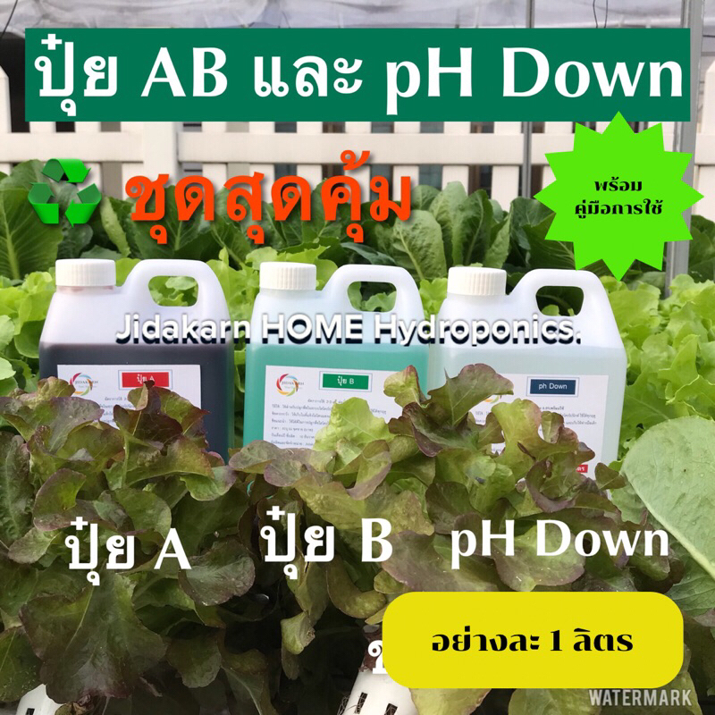 ปุ๋ย AB คู่กับ pH down กรดไนตริก 6.8% พร้อมส่ง ( 2 ชุดต่อ 1 คำสั่งซื้อ) น้ำนิ่ง น้ำวน ผักสลัด ผักไทย ทุกฤดู อย่างล