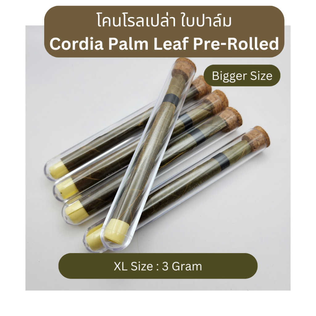 *3G XL Size* โรลใบปาล์ม สำเร็จรูป Cordia Palm Leaf กระดาษโรล โคนสำเร็จรูป โคนโรล ซิการ์ Cigar Pre Rolled กระดาษมวน
