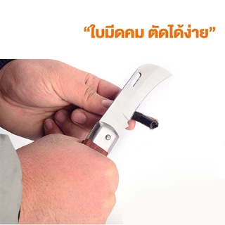 Marino Home มีด มีดตอนกิ่ง ใบมีดสแตนเลส ด้ามจับแบบไม้ ใบมีด ยาว 8.5 ซม. No.Y586