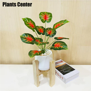 Plants Center P019 ต้นไม้ปลอม ต้นไม้มงคล ยกเซ็ทพร้อมกระถางเบลล่า ฟรีหินโรยสีขาว ต้นไม้ตกแต่งมินิมอล
