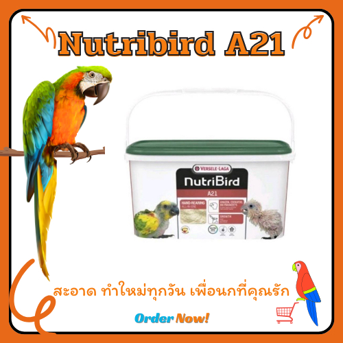 Nutribird อาหารนกลูกป้อนสูตรนกทั่วไป Nutribird A21 (Bird), 800g.250g และแบ่งขายของแท้นำเข้าจากบริษัทภมรชัยและขนาดแบ่งขาย