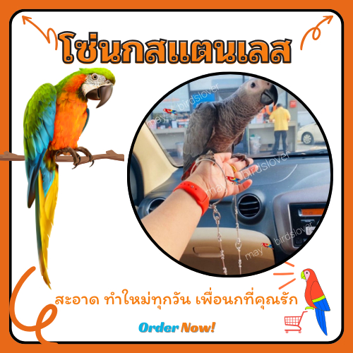 โซ่นกแก้วทุก​สาย​พันธ์​