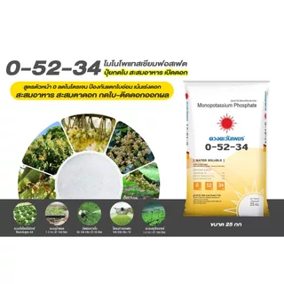 0-52-34 ดวงตะวันเพชร โมโนโพแทสเซียมฟอสเฟต สะสมอาหาร เปิดตาดอก ลดดอกหลุดร่วง