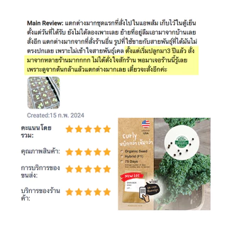 🇺🇸 เมล็ดนำเข้า เมล็ดเคล เคล เคลใบหยิก ผักเคล Curly Kale (Organic Seed) สายพันธุ์ดี คะน้าเคล จากสหรัฐอเมริกา ปันอินทรีย์