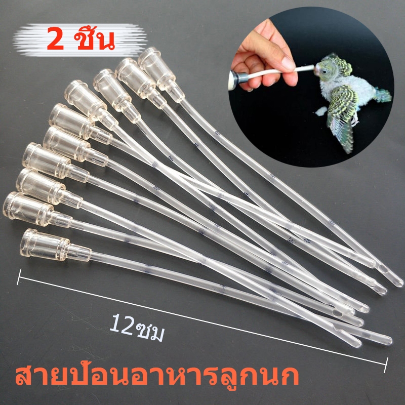 ถูก🎉2 ชิ้น สายป้อนอาหารลูกนก สายป้อนอาหารนก ที่ถูกออกแบบมาเพื่อการใช้งานอย่างดี ยาวประมาณ 12ซม