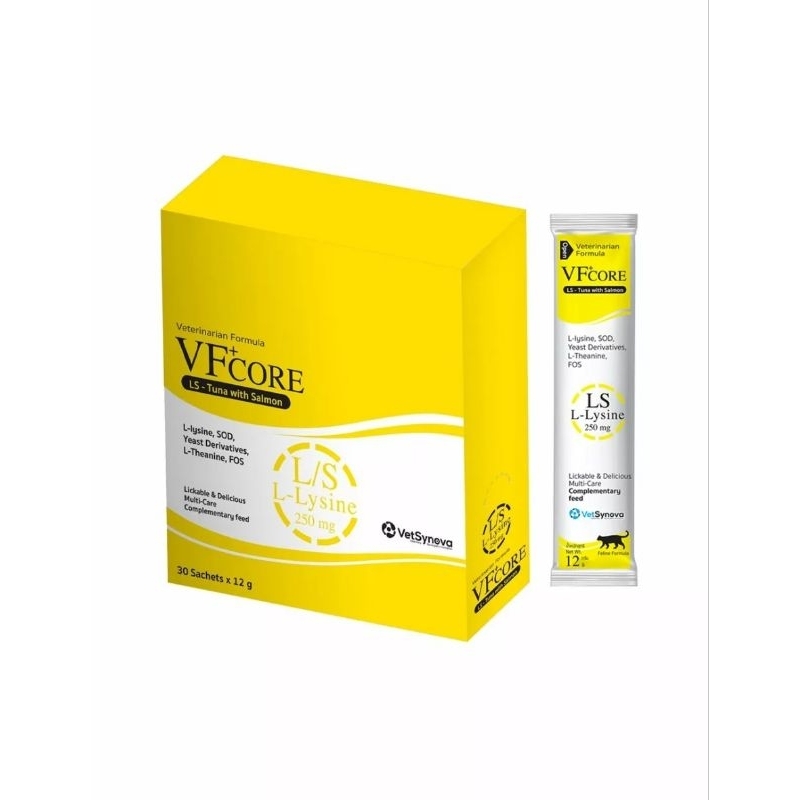 รูปภาพ 8