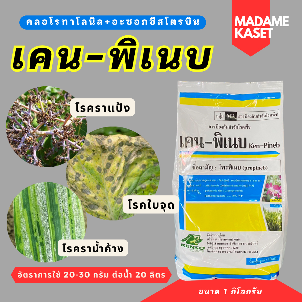 เคน-พิเนบ (โพรพิเนบ) สารเดียวกับแอนทราโคล เก่งโรคใบจุด ราน้ำค้าง โรคราแป้ง แอนแทรกโนส โรคใบจุดสีม่วง ( 1 กิโลกรัม )