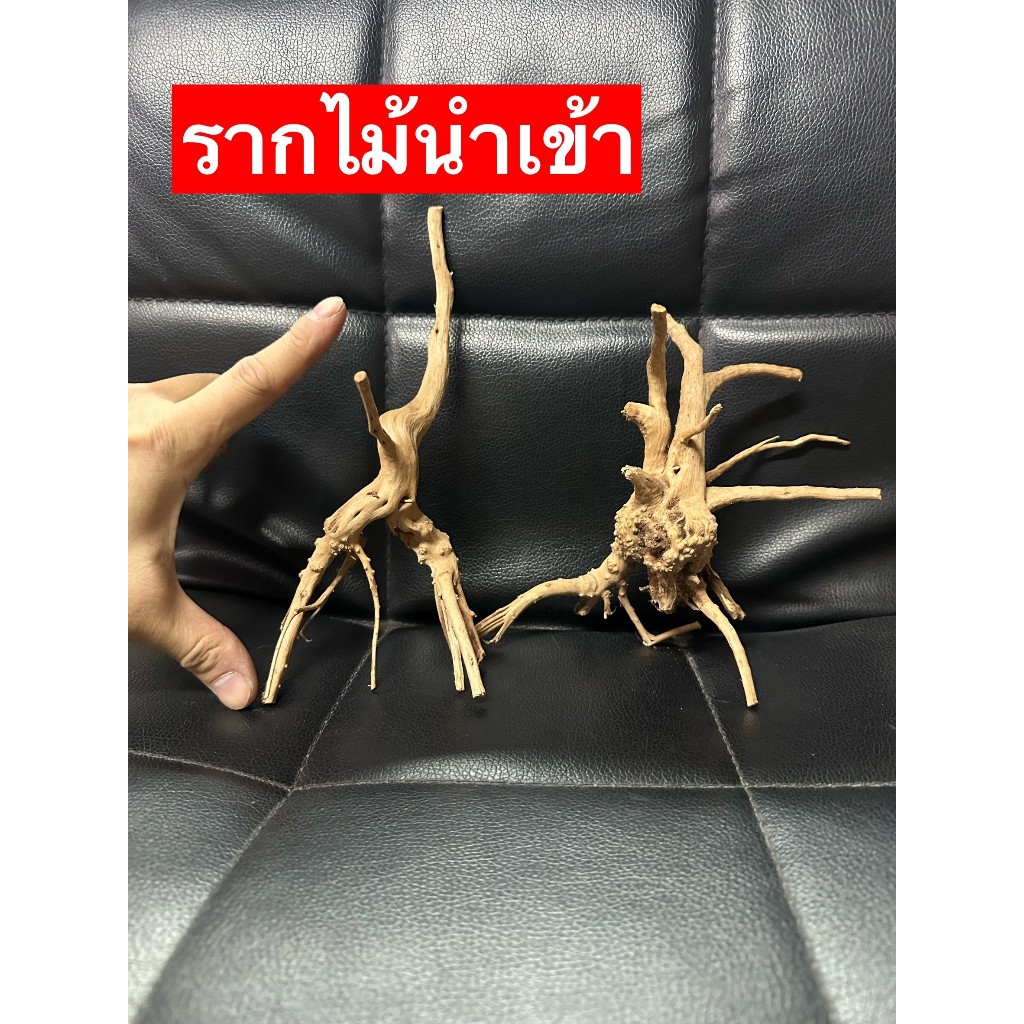 รากไม้  ไม้ แต่ง กรงหนู  ตู้ปลา กระต่าย เต่า ให้ดูสวยงามเป็นธรรมชาติ