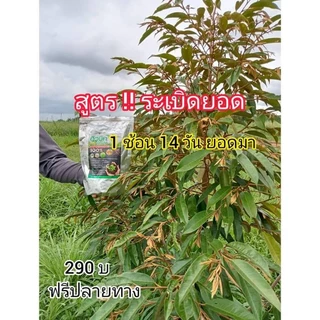 ฮิวมิคโปรพลัส1กก. บำรุงดินและพืช