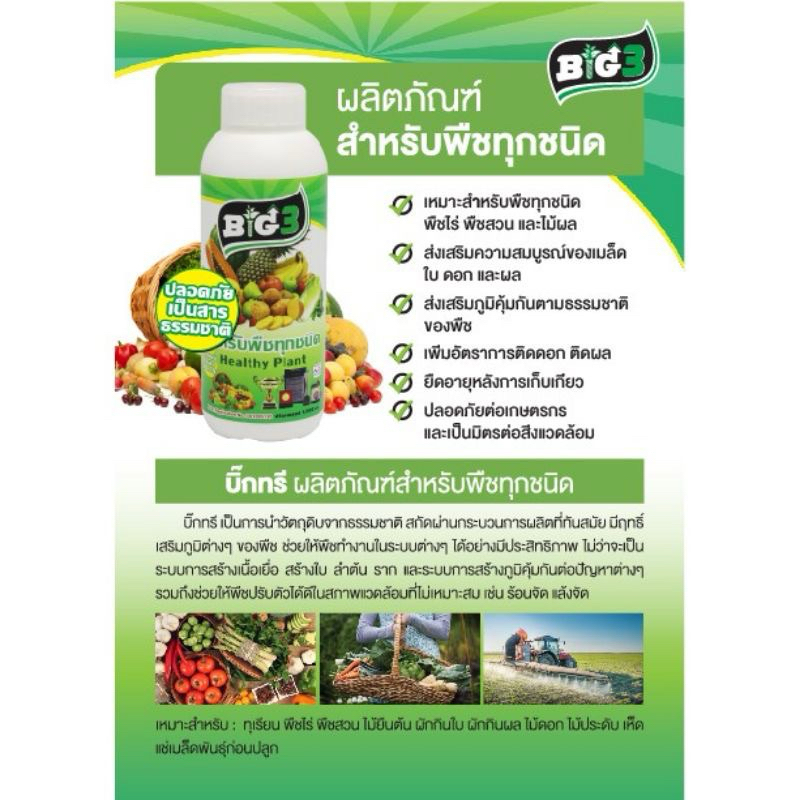 Big3 สำหรับพืชทุกชนิด ขนาด 100ซีซี