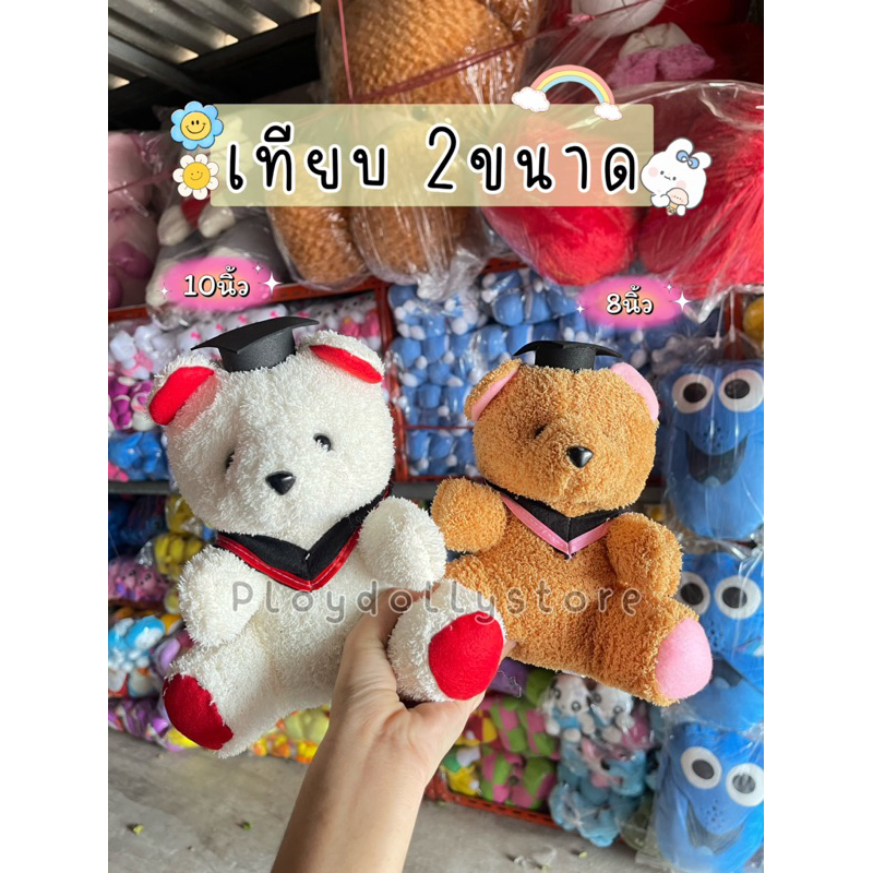 ตุ๊กตาหมีปริญญา ยกโหล12ตัว หมีจัดช่อ มีหลายรุ่น มี4สีให้เลือก ผ้าขนหนู และผ้าขนนิ่ม ขนาด 8-13นิ้ว ราคา ถูกที่สุด ดีลบีเคเค แกลเลอรีภาพที่ 2