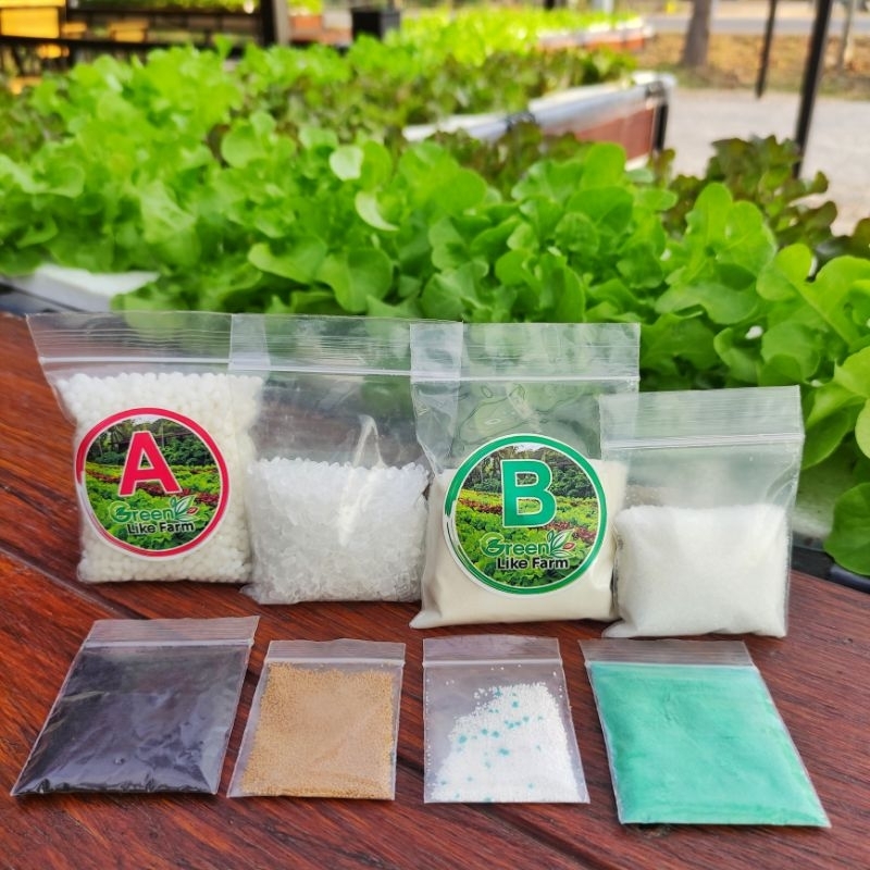 ปุ๋ยAB ปุ๋ยผักสลัด ปุ๋ยผักไฮโดรโปรนิกส์ เนื้อเวสโก้ ชนิดผงขนาด 1 ลิตร