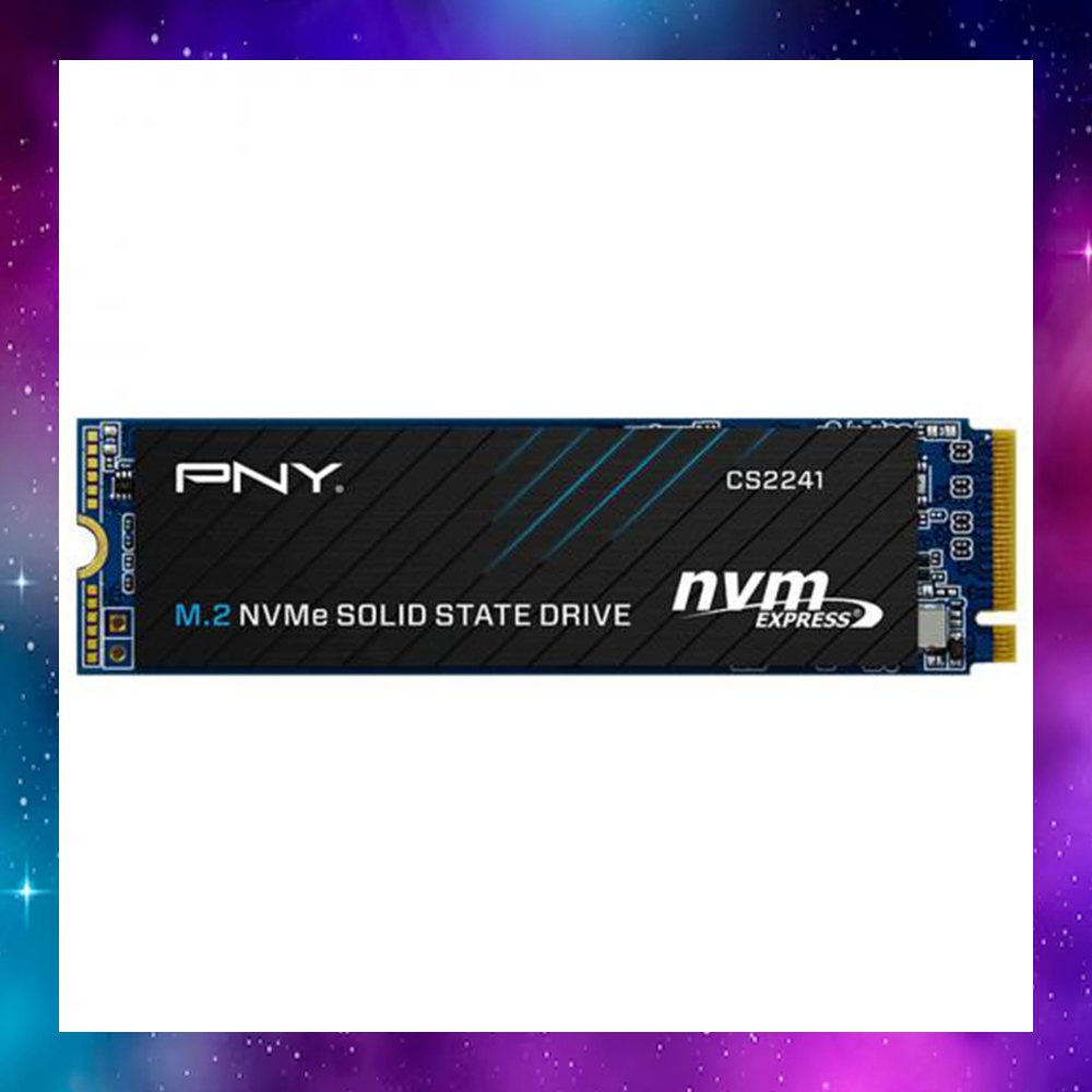 500 GB SSD (เอสเอสดี) PNY CS2241 - M.2 2280 NVME (M280CS2241-500GB-CL) ประกัน2/2028