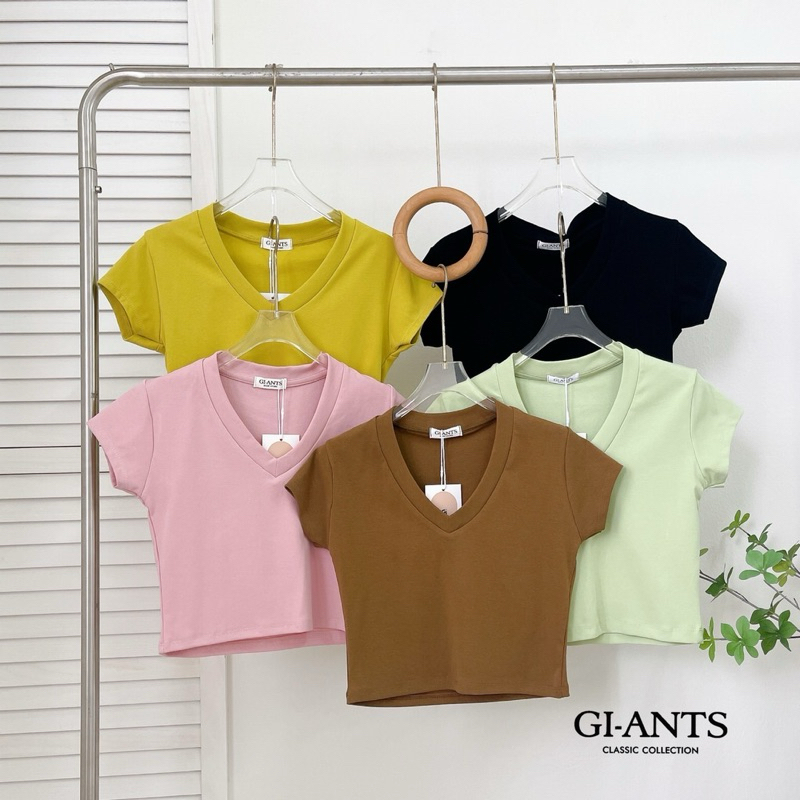 GI-ANTS มินิครอปคอวี