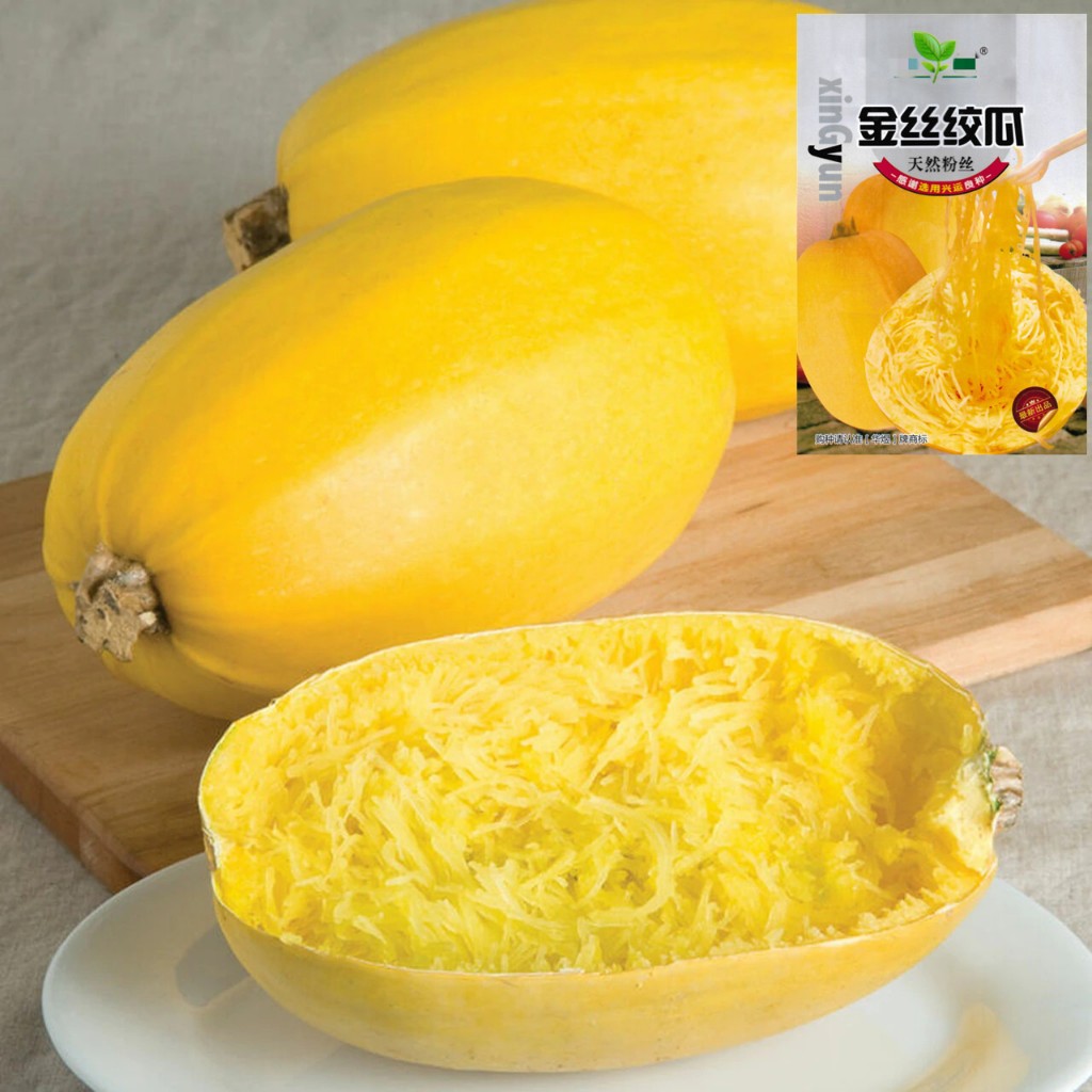 เมล็ดฟักทองสปาเก็ตตี้ 15 เมล็ด  spaghetti squash Original Packaging  สายพันธุ์ OP