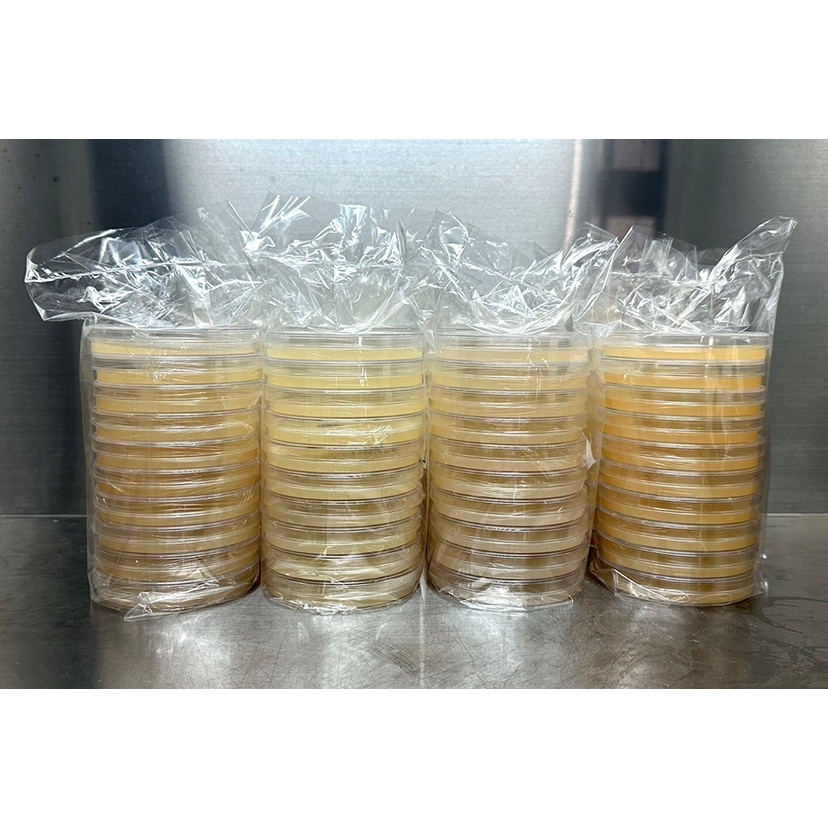 วุ้นเลี้ยงเชื้อเห็ด หรือเชื้อรา หรือ ยีสต์ บรรจุในจานเพาะเชื้อ (พร้อมใช้) มีสูตรให้เลือก ยกชุด 5 หรือ 10 ชิ้น คุ้มกว่า