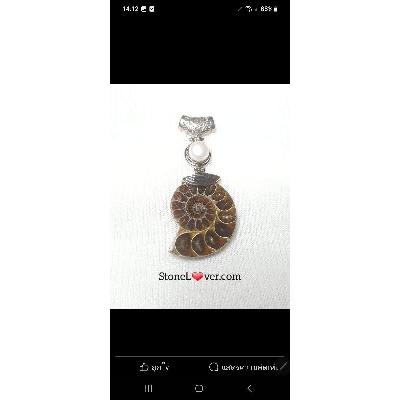 #Ammonite fossil#จี้ฟอสซิลหอย #แอมโมไนต์ 
#หินธรรมชาติ