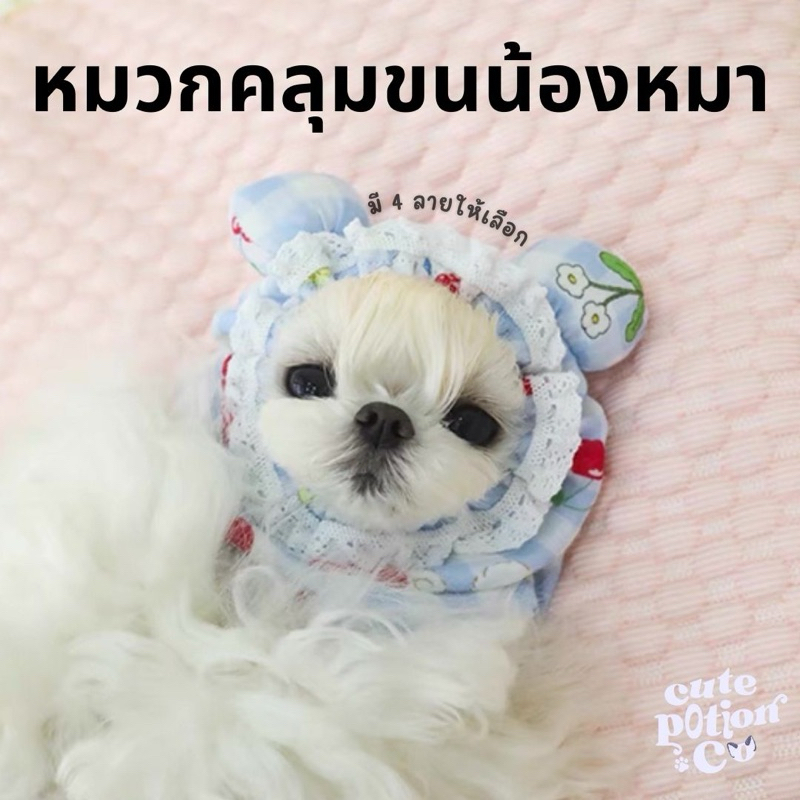 (พร้อมส่ง ) หมวกคลุมขนสุนัข กันเปื้อนสุนัข dog snoods
