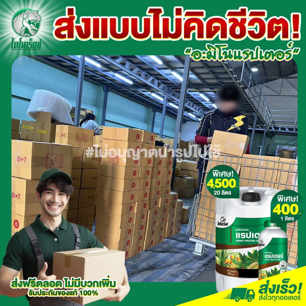 มะนาว โตไว ใบเขียว ผลใหญ่ แข็งแรง ผลผลิตดี อะมิโนโปรตีนจำเป็นสำหรับพืช 20 ชนิด อะมิโนแรปเตอร์ ตราไดโนเร็กซ์ - รูปที่ 5