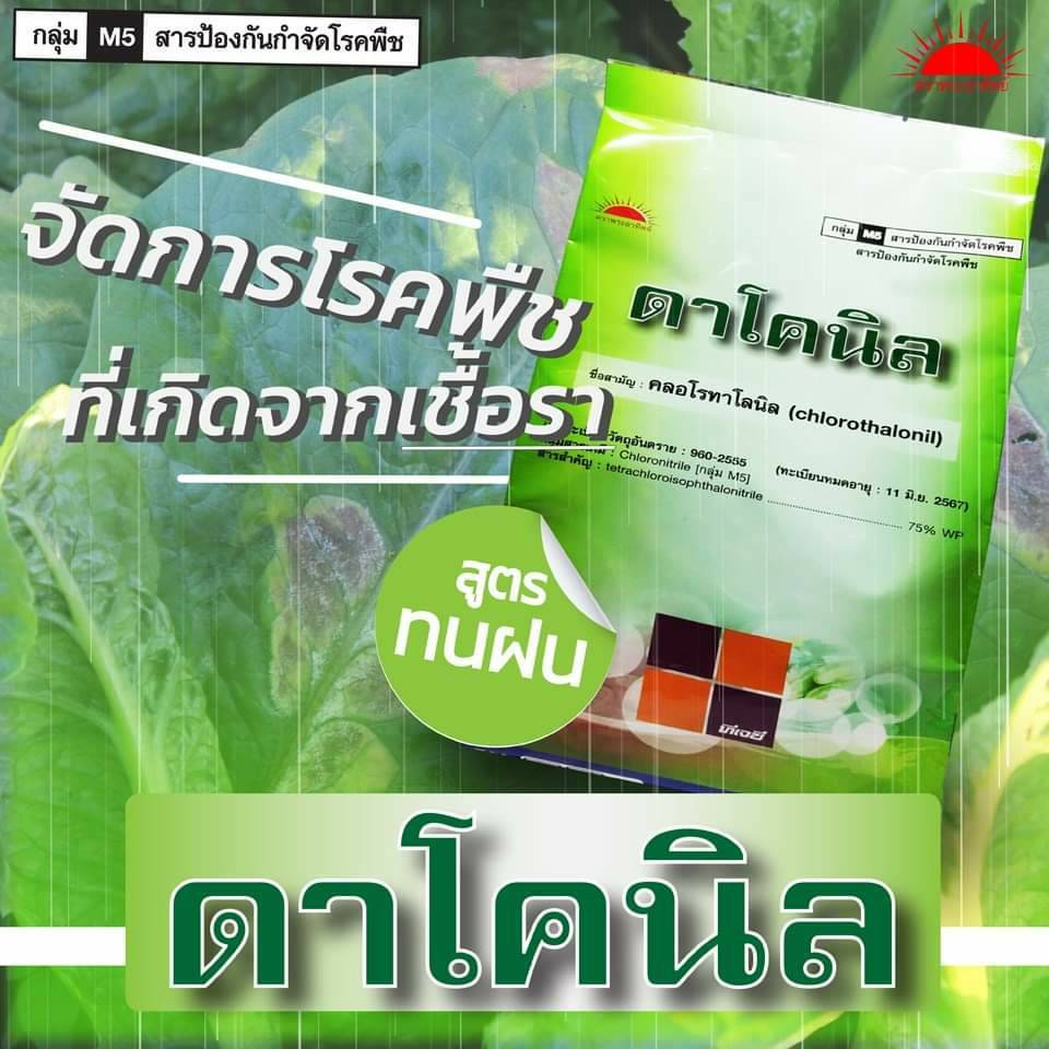 ดาโคนิล คลอโรทาโลนิล ขนาด 100 กร้ม ราน้ำค้าง เชื้อรา  สารป้องกันกำจัดโรคพืช โรคราน้ำค้าง โรคราสนิม โรคราดำ โรคใบจุด