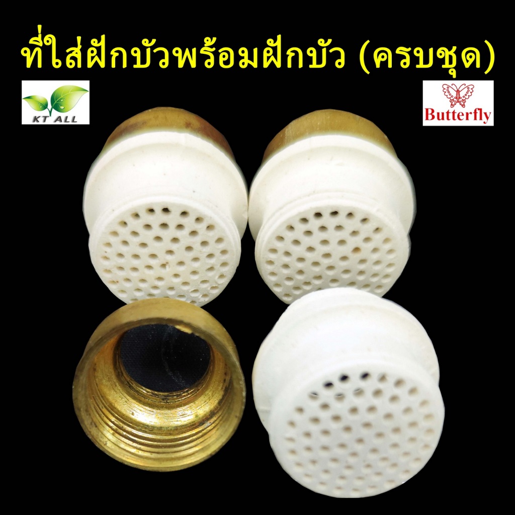 ตะเกียงเจ้าพายุ: ที่ใส่ฝักบัวพร้อมฝักบัว (ครบชุด) ทองเหลืองแท้ (หนา 2 มม) สินค้าจากโรงงาน Butterfly