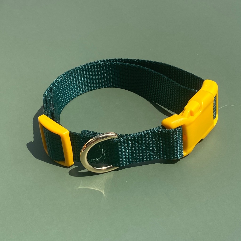 ปลอกคอสุนัข Human and Hound รุ่น Quick Snap Collar! - Spring Park