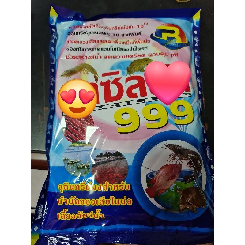 จุลินทรีย์ผง บาซิลลัส 999 ขนาด1กิโลกรัม สำหรับบำบัดน้ำเสียในบ่อเลี้ยงสัตว์น้ำ ผลิตจากหัวเชื้อจุลินทร