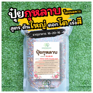 ปุ๋ย ปุ๋ยกุหลาบ สูตรบำรุง ต้นใหญ่ - ดอกโต - บำรุงดอก - เร่งสี เหมาะสำหรับกุหลาบ โดยเฉพาะ