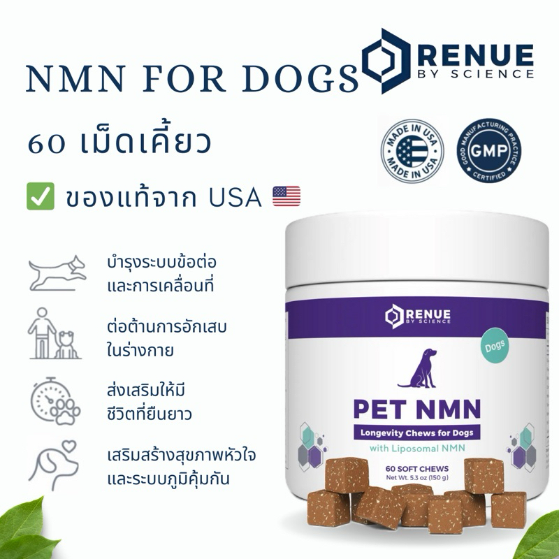 NMN For Dogs (60 เม็ด) อาหารเสริมชะลอวัยสำหรับสุนัข เพื่อชีวิตที่ยืนยาวของน้องหมาที่คุณรัก