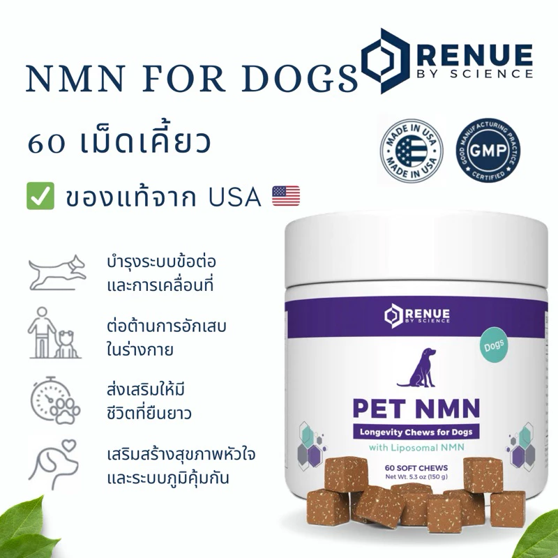 NMN For Dogs (60 เม็ด) อาหารเสริมชะลอวัยสำหรับสุนัข เพื่อชีวิตที่ยืนยาวของน้องหมาที่คุณรัก