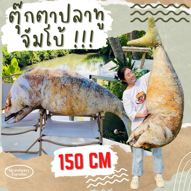 ตุ๊กตาปลาทูทอด ไซส์ยักษ์ 150cm สกรีนสีสวย ตัวใหญ่