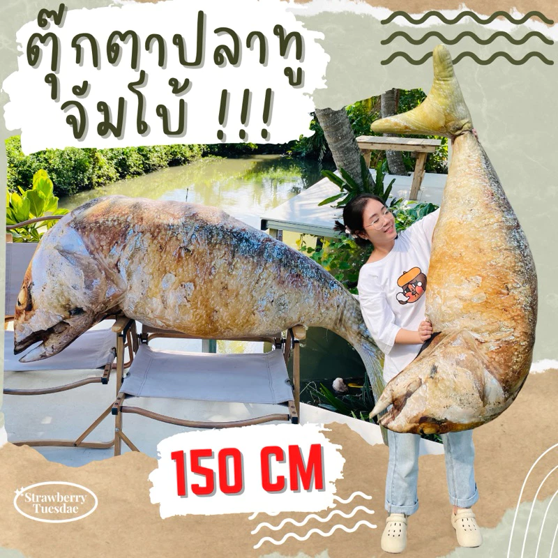 ตุ๊กตาปลาทูทอด ไซส์ยักษ์ 150cm สกรีนสีสวย ตัวใหญ่