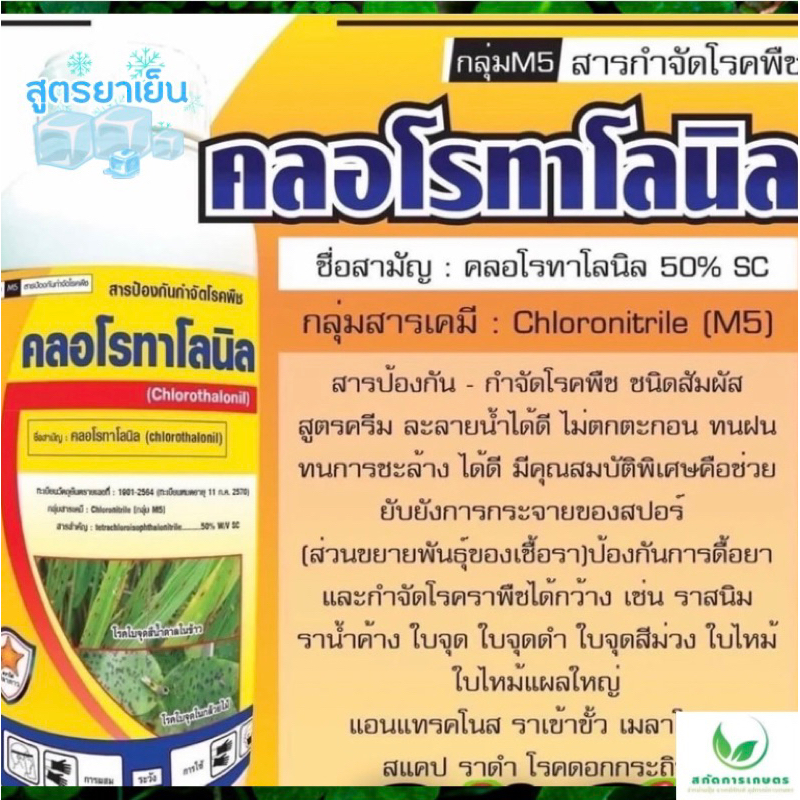 คลอโรทาโลนิล ยาเย็น กำจัดเชื้อรา ใบไหม้ ใบจุด ราน้ำค้าง ราสนิม ราดำ ราเข้าขั้ว ขนาด 1 ลิตร