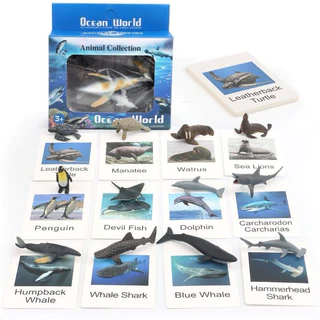 โมเดลไดโนเสาร์ โมเดลสัตว์ โมเดลสัตว์ทะเล 12 ตัว พร้อม Flash Card การ์ดจับคู่โมเดลสัตว์ Montessori Lookmaebaby