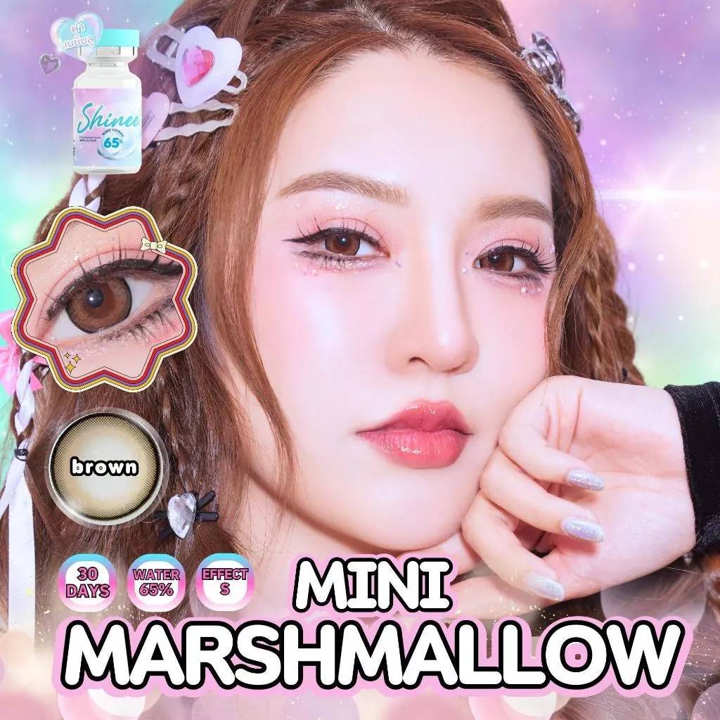 คอนแทคเลนส์ ขนาดบิ๊กอายปังสุด Brown/Gray Marsh mallow (Shinee)