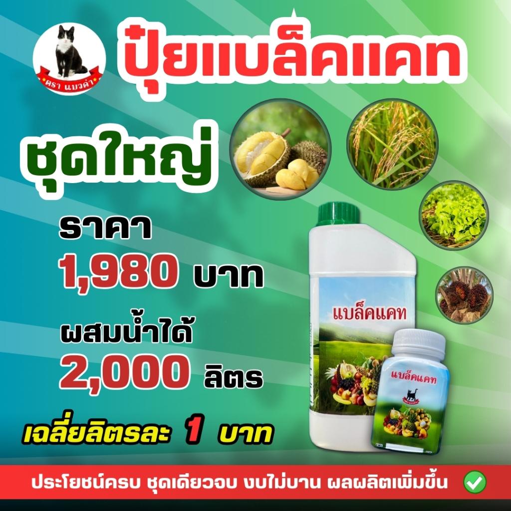 แบล็คแคท ปุ๋ยน้ำทางใบ ธาตุอาหารรอง/เสริม ใช้ได้กับพืชทุกชนิดและทุกช่วงอายุ บำรุงจบครบในชุดเดียว
