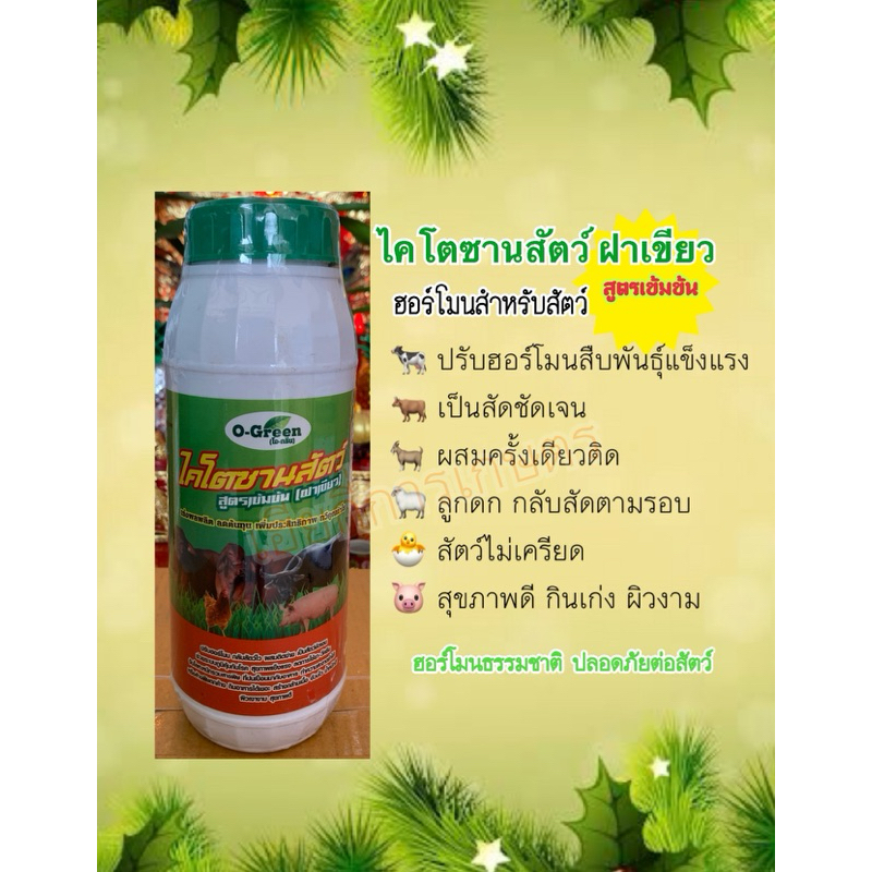 ไคโตซานสัตว์ ไคโตซานฝาเขียวO-Green โอ-กรีน สูตรเข้มข้น เร่งผลผลิต ลดต้นทุน เพิ่มประสิทธิภาพ ทวีคูณ 1 ขว
