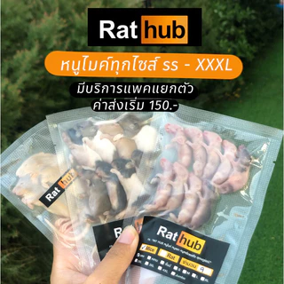 หนูไมซ์แช่แข็ง แพคแยกตัว/แพครวม (รับประกันเสียหายเคลมเต็ม) หนูแช่แข็ง หนูเหยื่ออาหารงู