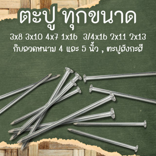ตะปูตราหัววัว ขนาด3x8,3x10,4x7,1x16,3/4x16,2x11,2x13 และกิบล…