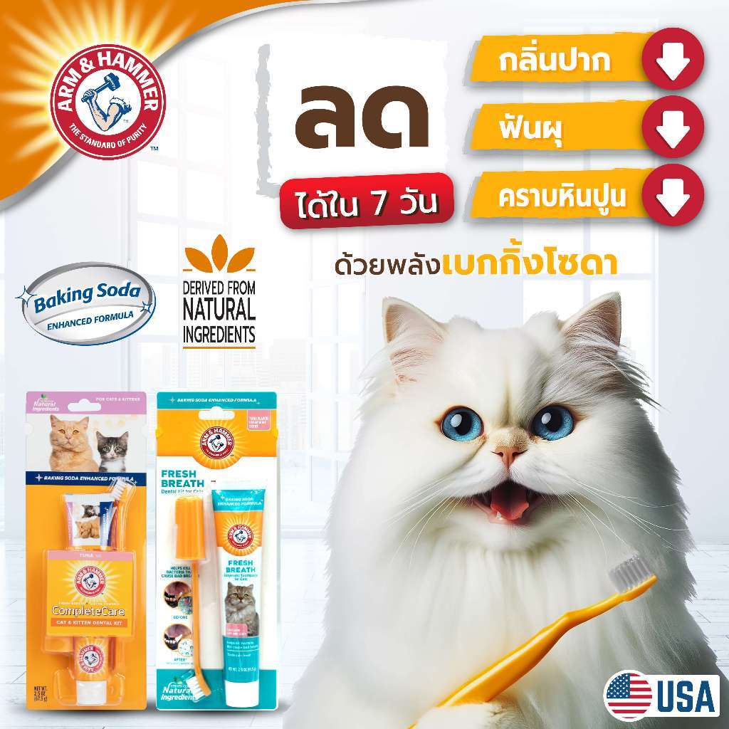 Arm and Hammer ยาสีฟันสำหรับแมว แก้ปัญหาแมวปากเหม็น เหงือกอักเสบ มีหินปูน มีกลิ่นปาก