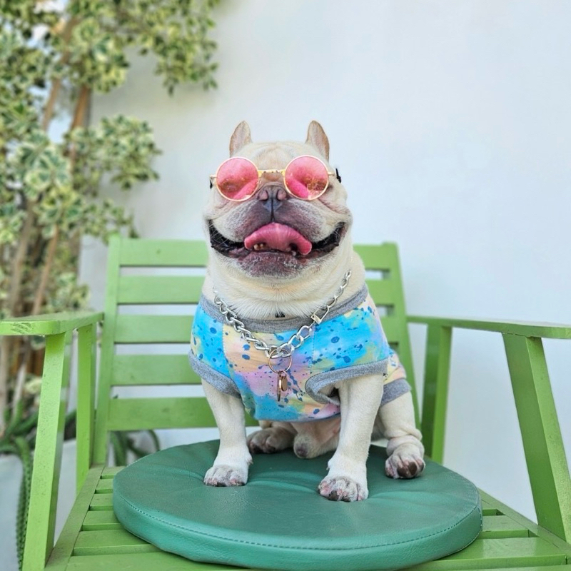 Dเสื้อน้องหมา ลายมัดย้อมพ่นสี