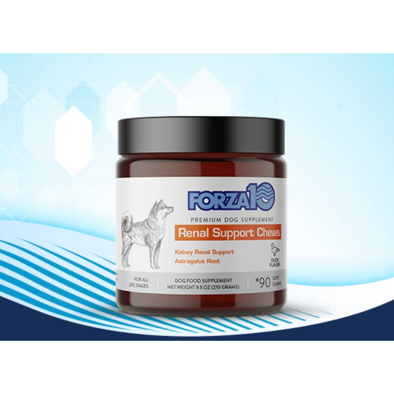 (90 เม็ด) วิตามินสำหรับโรคไต สุนัข  Forza10 Dog Kidney Support Chews, Duck Flavor Dog Urinary Tract 