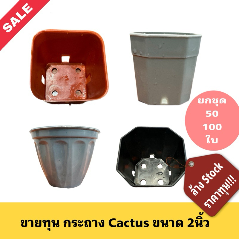 ขายทุน Clear Stock กระถางแคคตัส แปดเหลี่ยม 2 นิ้ว 50 ใบ กระถางแปดเหลี่ยม พลาสติกหนา เกรดAA 2นิ้ว กระถางแคคตัส