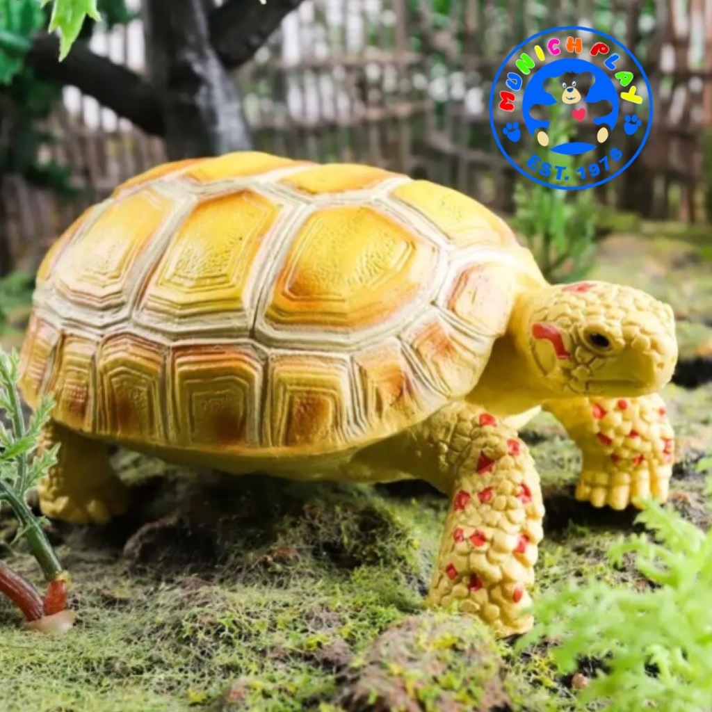 Munich Play โมเดลสัตว์ Turtle เต่า ซูลคาต้า ทอง ขนาด 11.50 CM (จากหาดใหญ่) - รูปที่ 5
