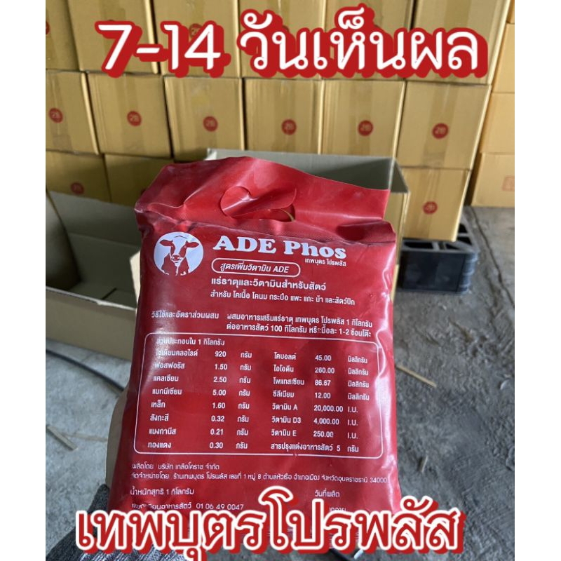 เทพบุตรโปรพลัสแร่ธาต14ชนิดบำรุงสัตว์ กินเก่ง โตไว ผสมติดง่าย กลับสัดไว ป้องกันการเป็นหมัน
