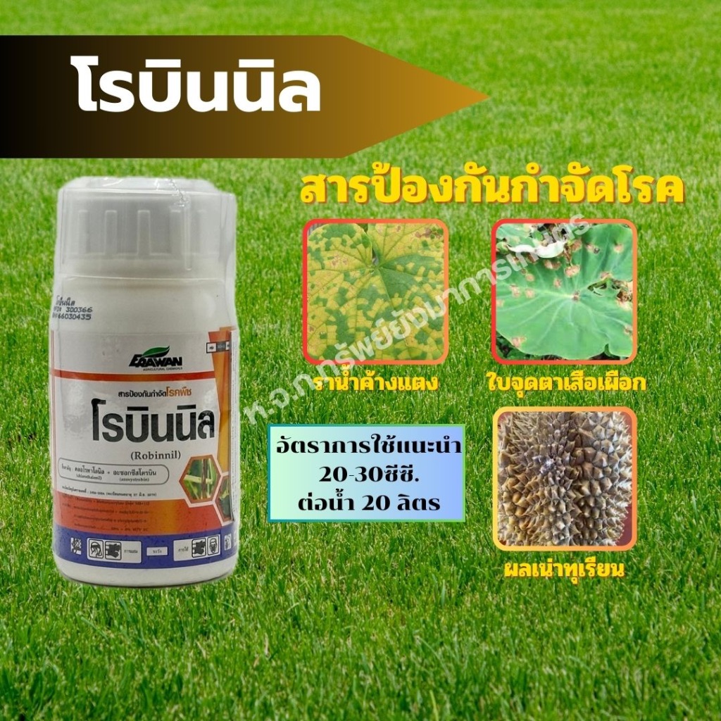 โรบินนิล คลอโรทาโลนิล + อะซอกซีสโตรบิน ขนาด 250 ml ป้องกันกำจัดโรคแอนแทรคโนส โรคใบไหม้ โรคราน้ำค้าง โรคใบจุด โรคราสนิม