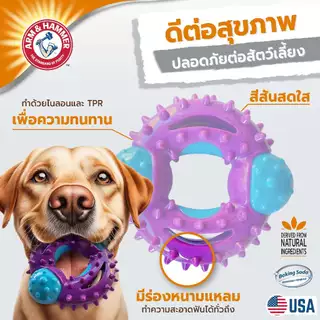 [แบรนด์แท้ USA🇺🇸] Arm and Hammer Nubbies ของเล่นสุนัข DuoBone แอปเปิ้ล ดูแลเหงือกฟัน